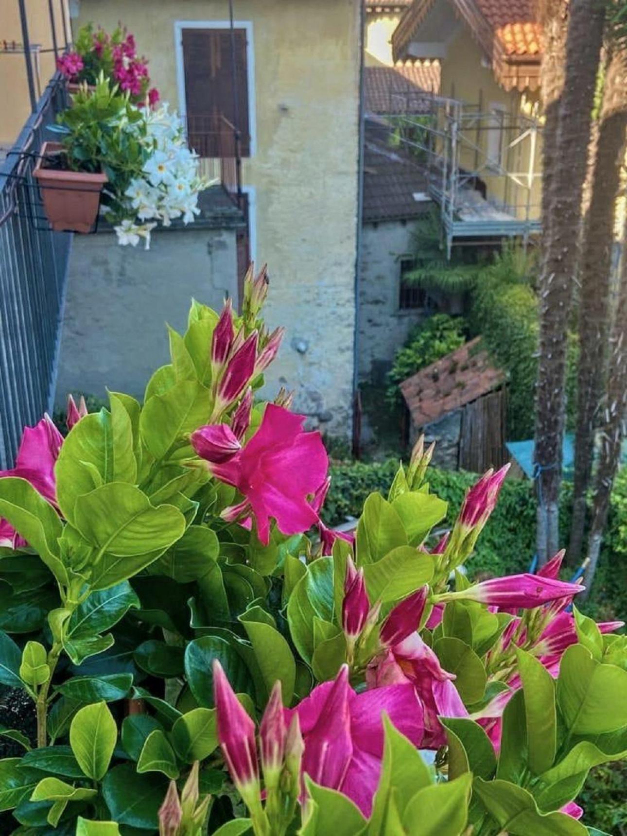 Oggebio Casa Doris 아파트 외부 사진